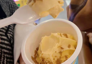 小雪花自助冰淇淋機(jī)有哪些常見故障？如何解決？